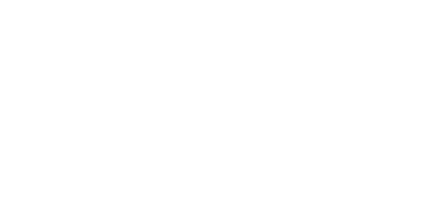 Logo IFB